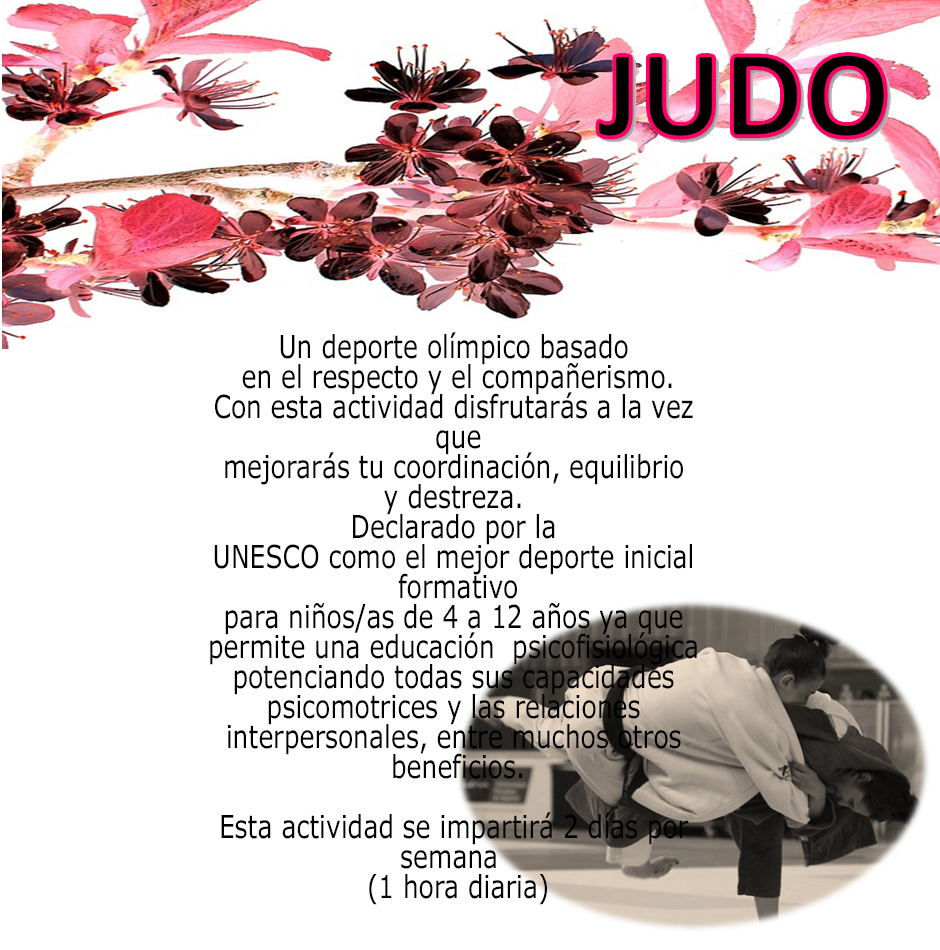 judo